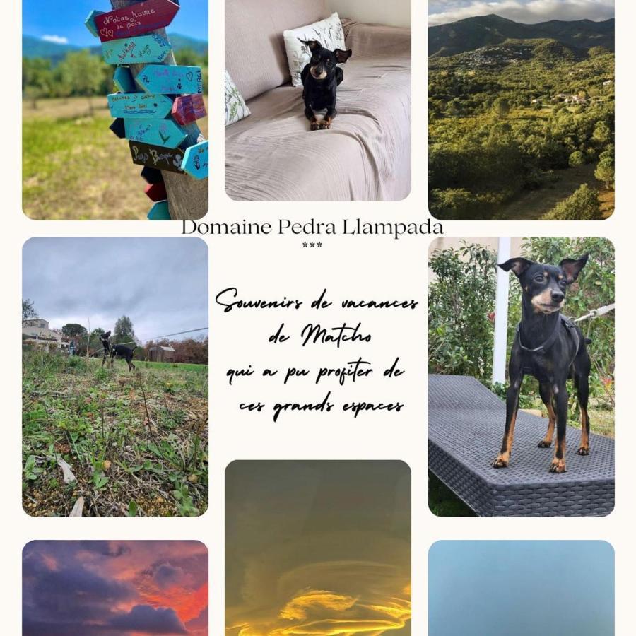 Domaine Pedra Llampada Gite Mer Villelongue-dels-Monts 외부 사진