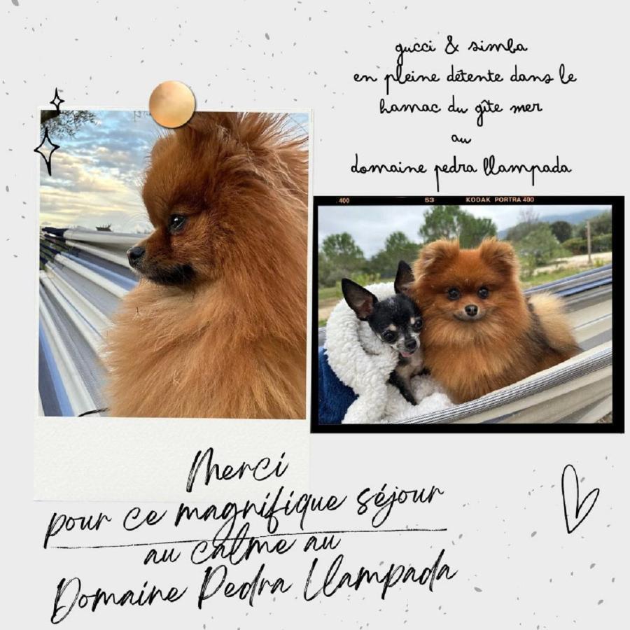 Domaine Pedra Llampada Gite Mer Villelongue-dels-Monts 외부 사진
